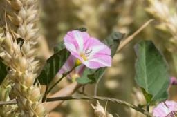 Dora占星2025年7月天秤座運(yùn)勢(shì)